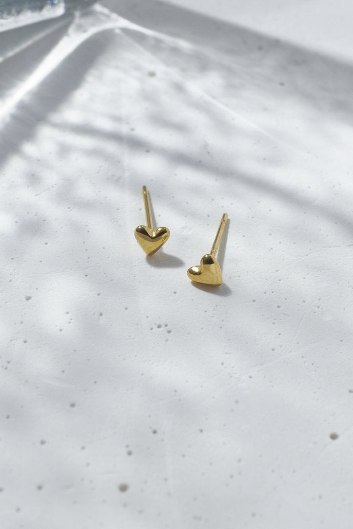 [Stainless] GOLDY Petite Heart Earrings - Image 12
