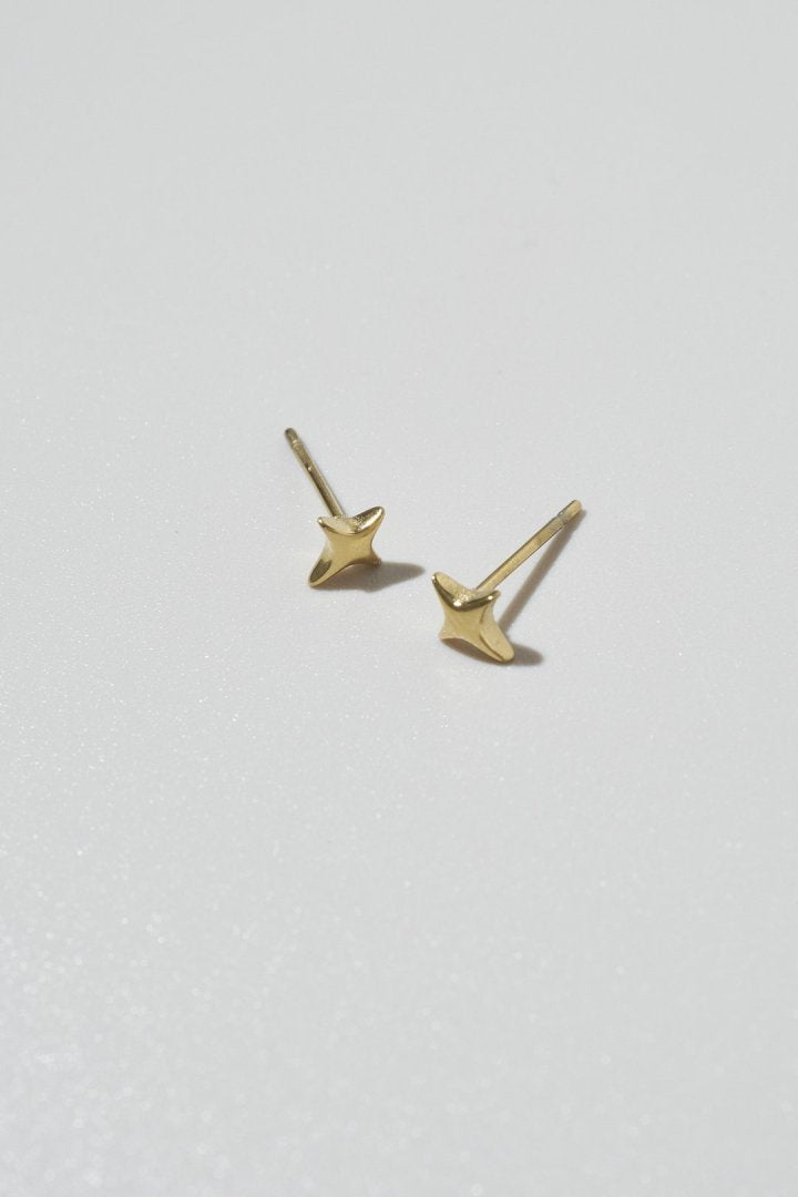 GOLDY プチ トゥインクル ステンレス ピアス - Image 12