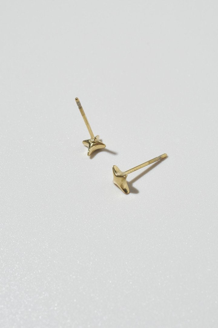 GOLDY プチ トゥインクル ステンレス ピアス - Image 13