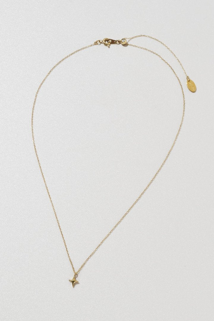 GOLDY プチ トウィンクル ステンレス ネックレス - Image 6
