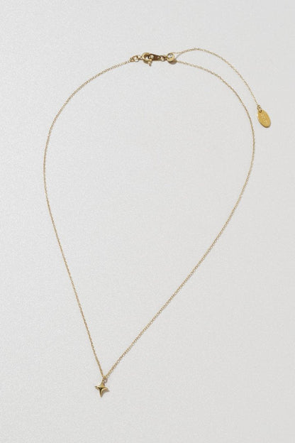 GOLDY プチ トウィンクル ステンレス ネックレス - Image 6