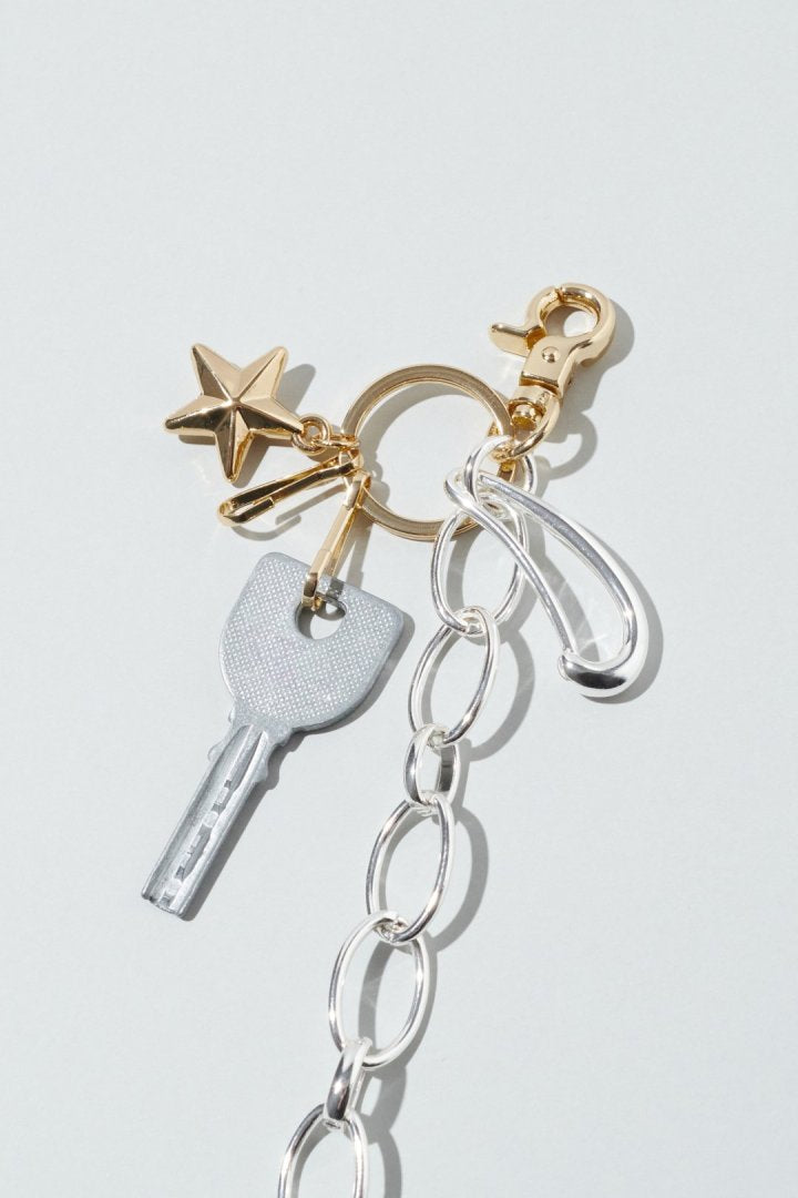 GOLDY star volume wallet chain - Image 11